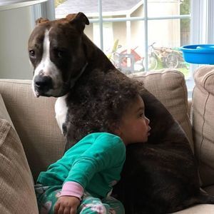 Meet your Posher, Blair